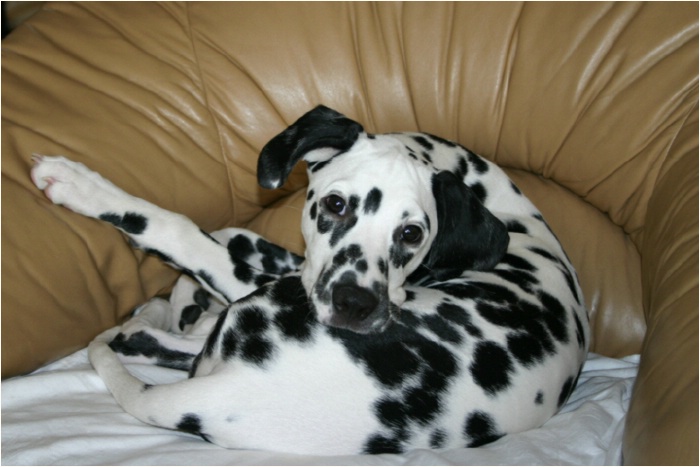 <b>ich hab dich sooo lieb, Mami!<b>